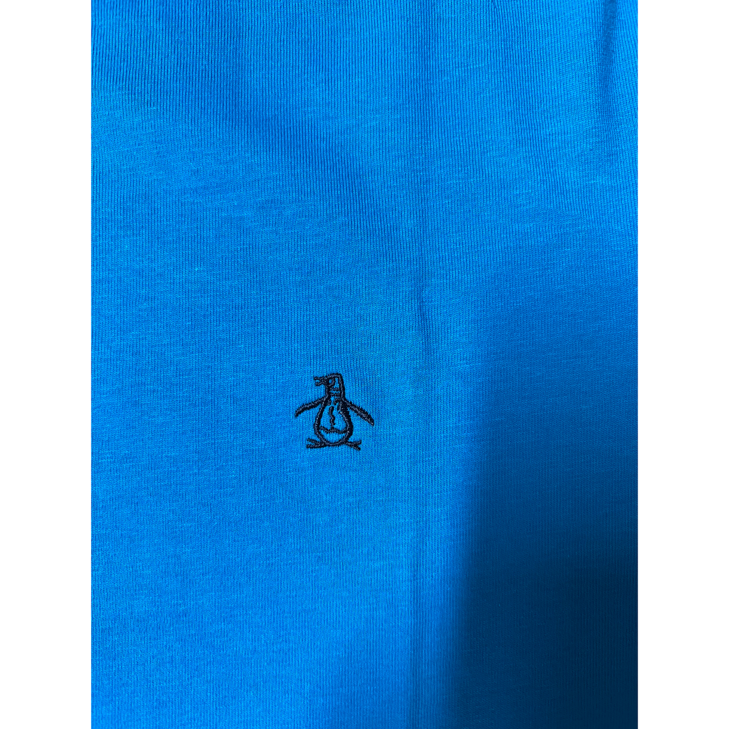PENGUIN- T-shirt azzurra con logo